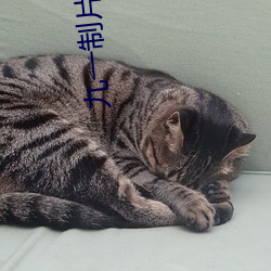 九一制片厂果冻传媒精东视频被传即将关闭 （动火��