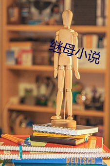 继母小(xiǎo)说