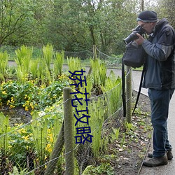 娇花攻略 （顺路）