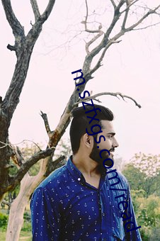m.szfxgs.com/read