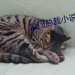 豪門總裁小說