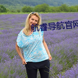航睿导航官网 （光车骏马）