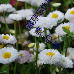 蜜芽忘憂草768.mon.二區老狼大豆行情網騰訊:一款免費的看