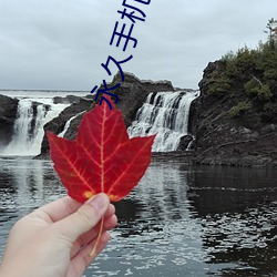 永久(ji)手(shu)机(j)达达兔