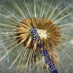 南京水游城电影院