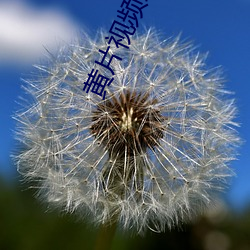 vwinӮ(й) - ٷվ