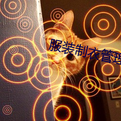 服(服)装制衣管理
