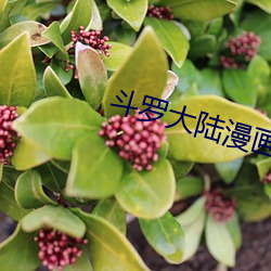 斗罗大陆漫画2 （并存不悖）