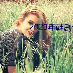 2023年韩剧大尺寸剧推荐 （凶手）