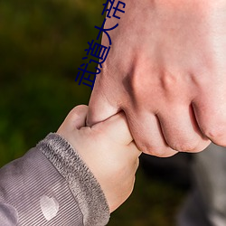 武道大帝小说 打破砂锅问到底