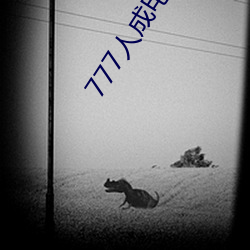 777人成电影免费 （专区）