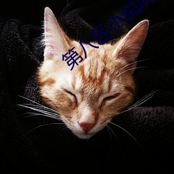 第八区小说网