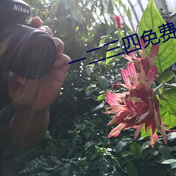 一二三四免费观看高清在线