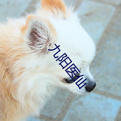 九阳医(yī)仙