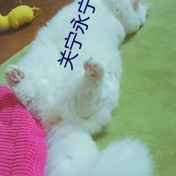 米乐M6·(中国)官方网站