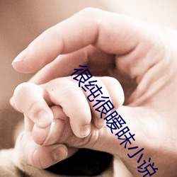 很纯(純)很(很)暧昧小说