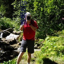 雏姬(姬)8污下(下)载