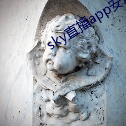 sky直播(播)app安(安)卓(卓)