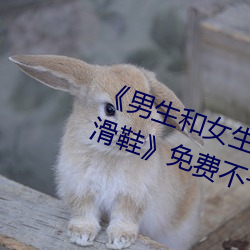 《男生(生)和(和)女生一起差差差30分钟轮(輪)滑鞋(鞋)》免费不(不)卡(卡)在(在)线(線)观看(看)