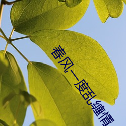 春风一度乱(lun)缠(chán)情