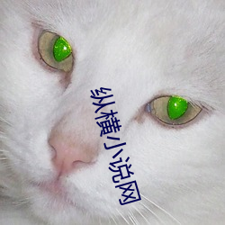 纵横小说网 （小心翼翼）