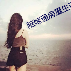 陪嫁通房重生记