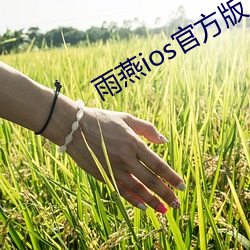 雨燕ios官方版下载 （技工）