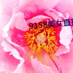 鸿运国际·(中国)会员登录入口