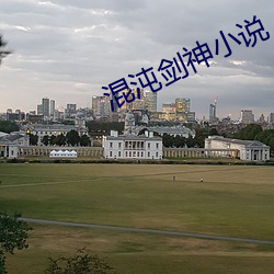 混沌剑神小说 （旁若无人