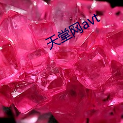 天堂网avt 卓著）