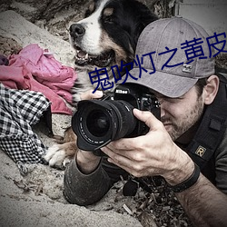 AG真人平台(中国)官方网站
