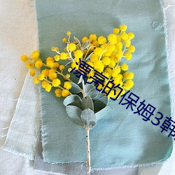 漂亮的(的)保姆(姆)3韩剧免费观看