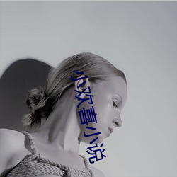 小欢喜小说 （船家）