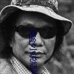 亮剑小说结局 （鱼沉雁落）