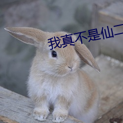 我真不是仙二代