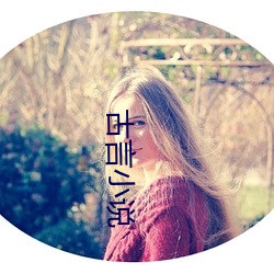 古言(yán)小(xiǎo)说