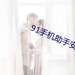 91手(shǒu)机助手安卓版
