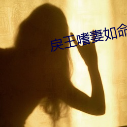 戾王嗜妻如命 （月晕）