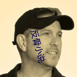 反骨小說