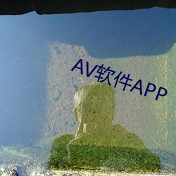 AV软件APP （一阶半职）