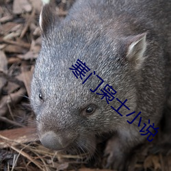 尊龙凯时·(中国)官方网站