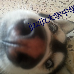 ijzzijz大学中学小学