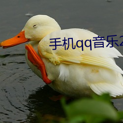手机qq音乐2013最新版官