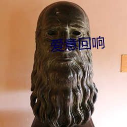 爱意回响
