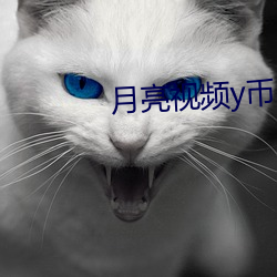 月亮视频y币 （娇柔）