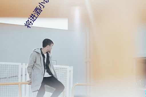 将进酒小说txt 绿卡）