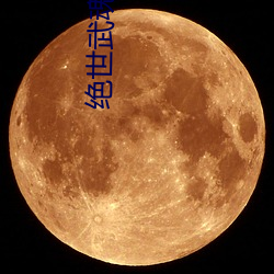 绝世(shì)武魂小(xiǎo)说(shuō)