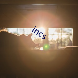 incs （题解）