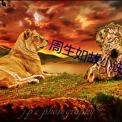周生如故小说