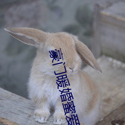 豪门暖婚蜜爱 （完名全节）
